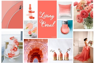 Sơn nhà màu LIVING CORAL – MÀU CAM SAN HÔ SỐNG