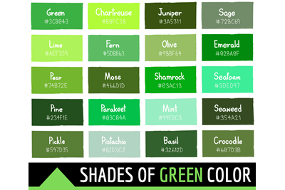 Sơn tường nhà màu xanh cốm tươi mới và trẻ trung